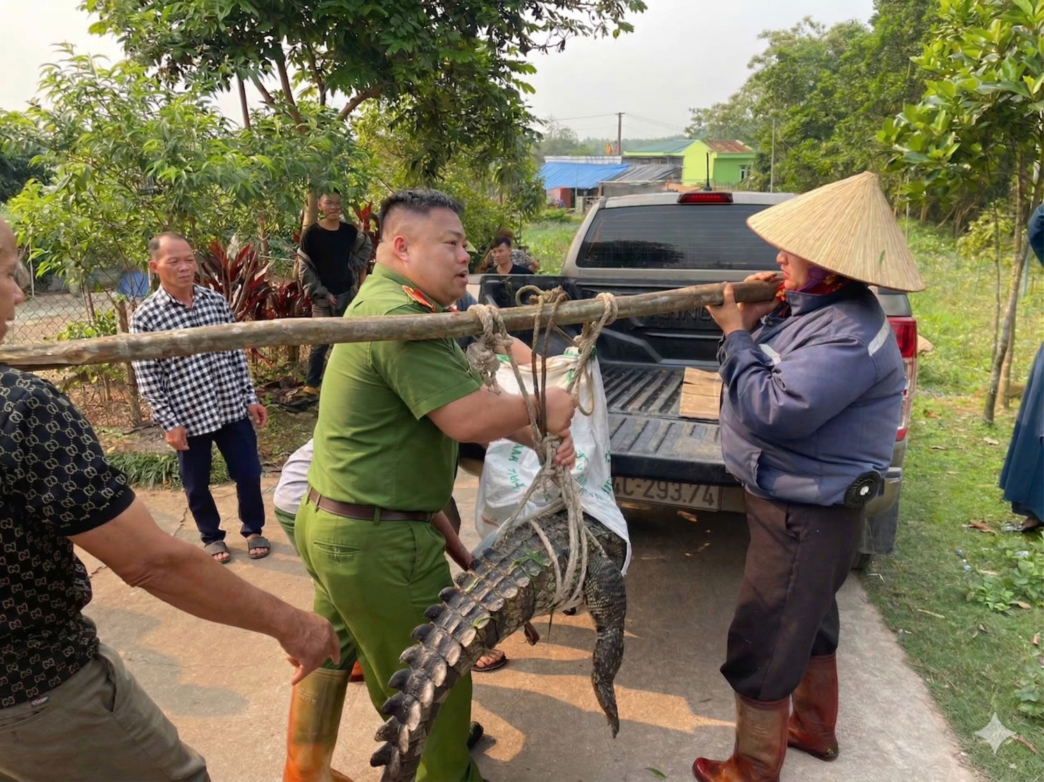 Bắt giữ cá sấu nước ngọt nguy hiểm tại Đường Hoa , 2026 - Ảnh 1. Bắt giữ cá sấu nước ngọt nguy hiểm tại Đường Hoa , 2026 - Ảnh 1.