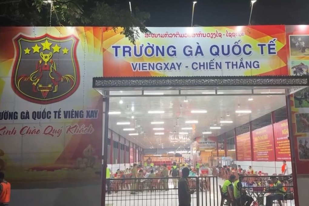 Vợ chồng cầm đầu trường gà quốc tế Viêng Xay, 196 đối tượng bị khởi tố - 3