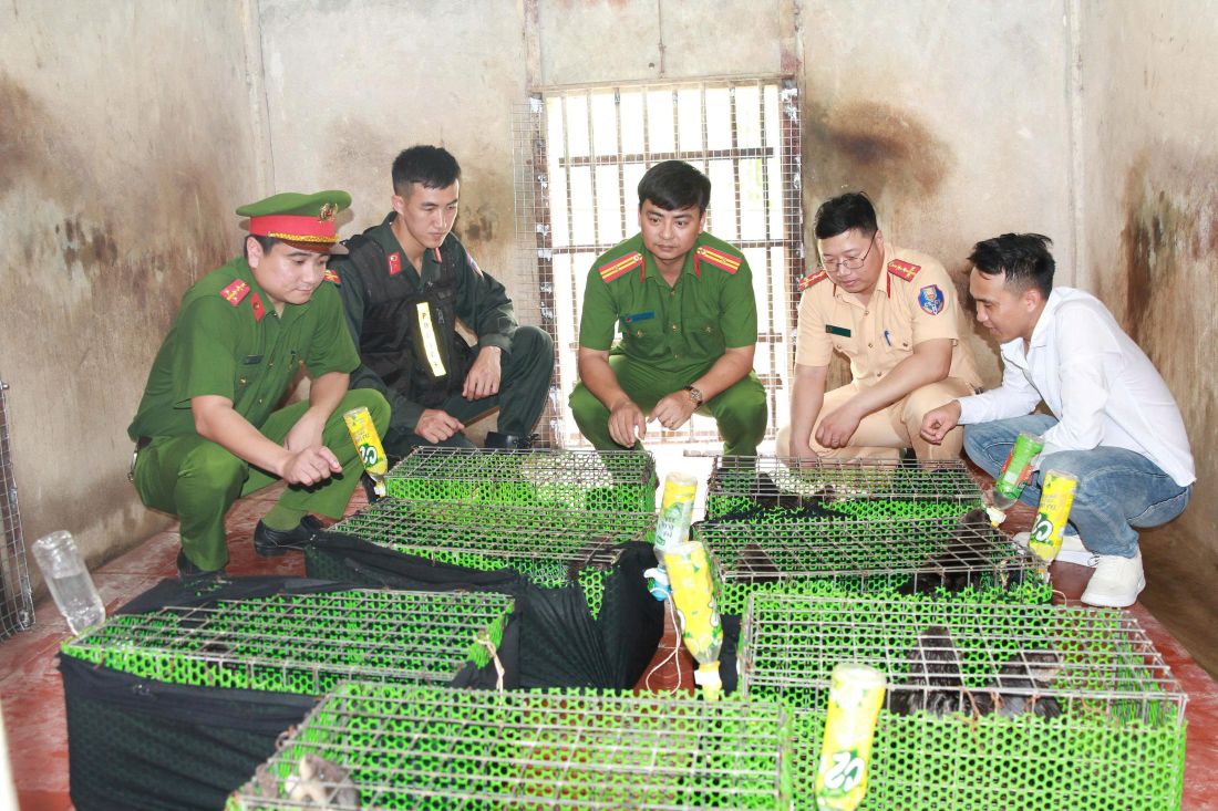 con khỉ - Ảnh 2.