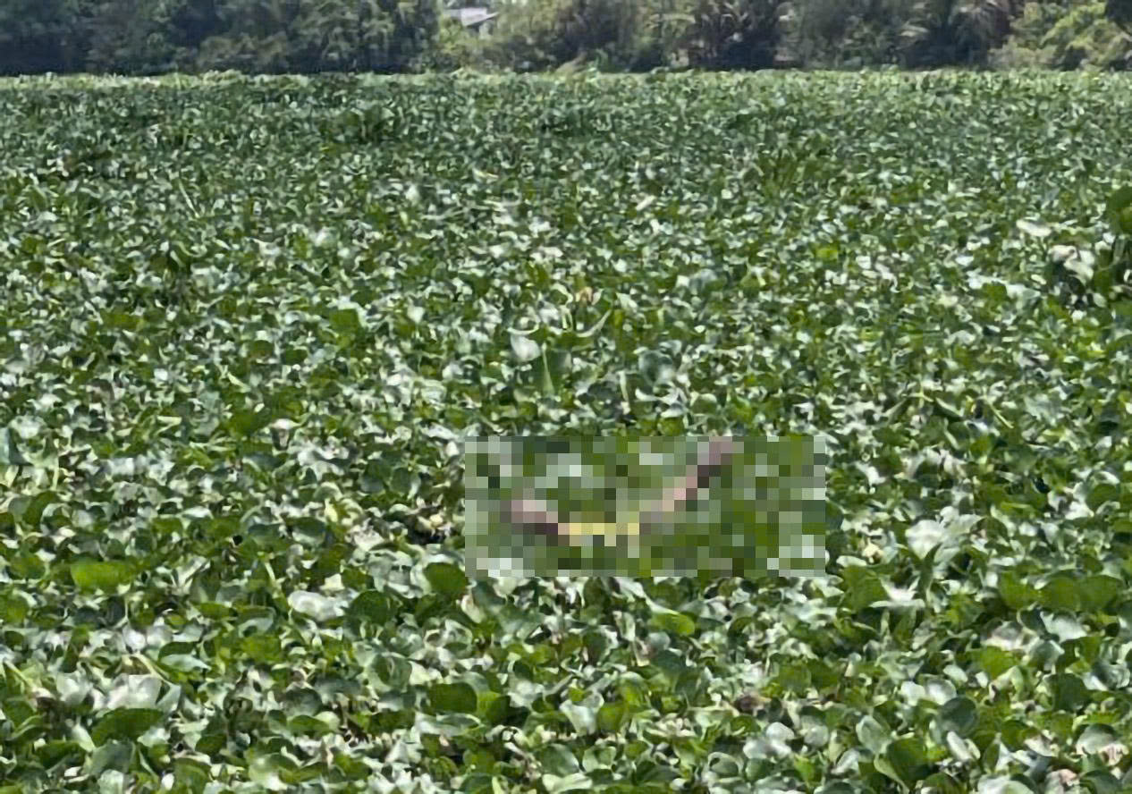 Bàng hoàng phát hiện thi thể 2 trẻ nhỏ đuối nước trên sông Vàm Cỏ Tây - Ảnh 1. Bàng hoàng phát hiện thi thể 2 trẻ nhỏ đuối nước trên sông Vàm Cỏ Tây - Ảnh 1.