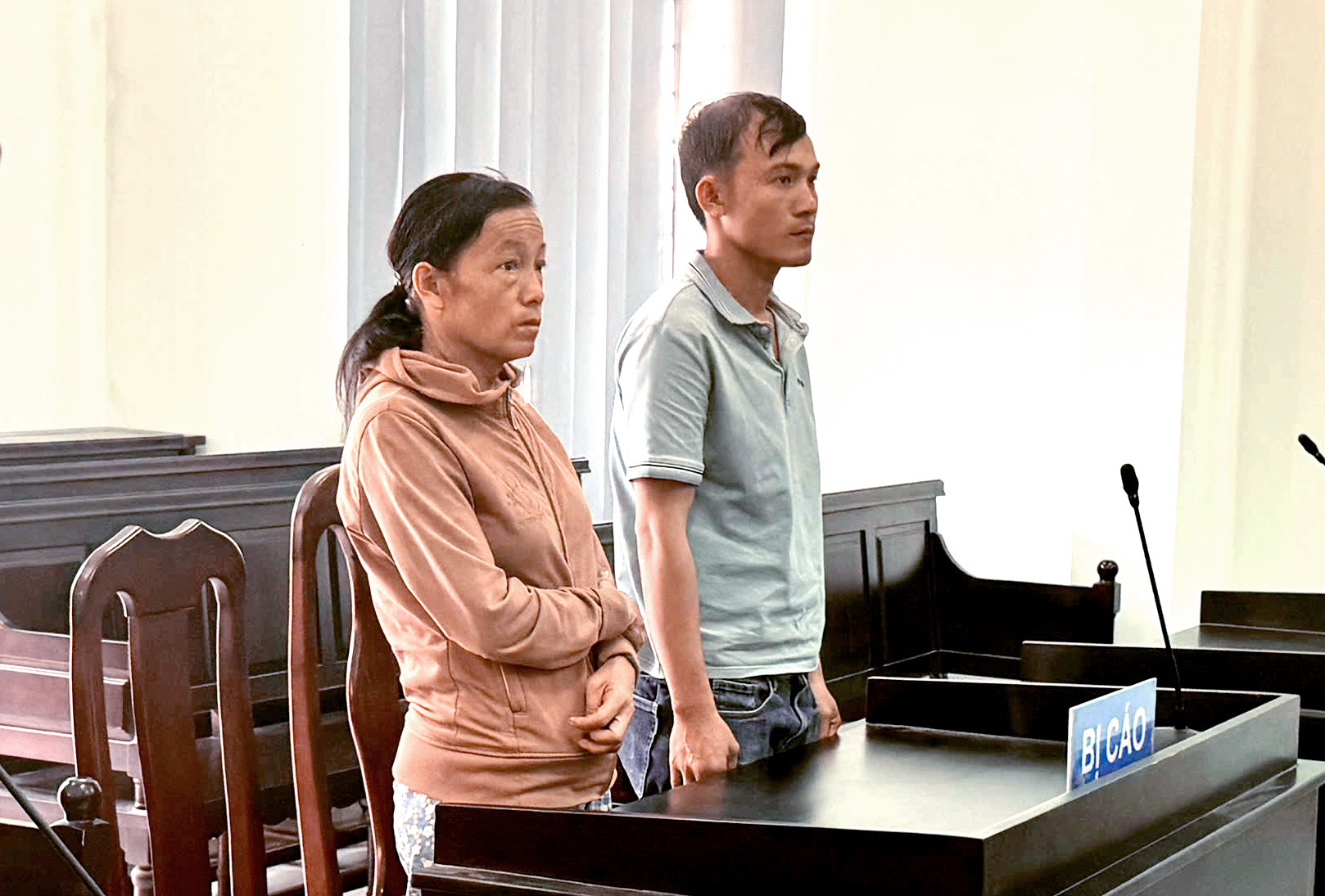 Thấy 1.000 con vịt thả đồng không ai trông coi, hai mẹ con bắt đem bán rồi cùng nhận án tù - Ảnh 1.