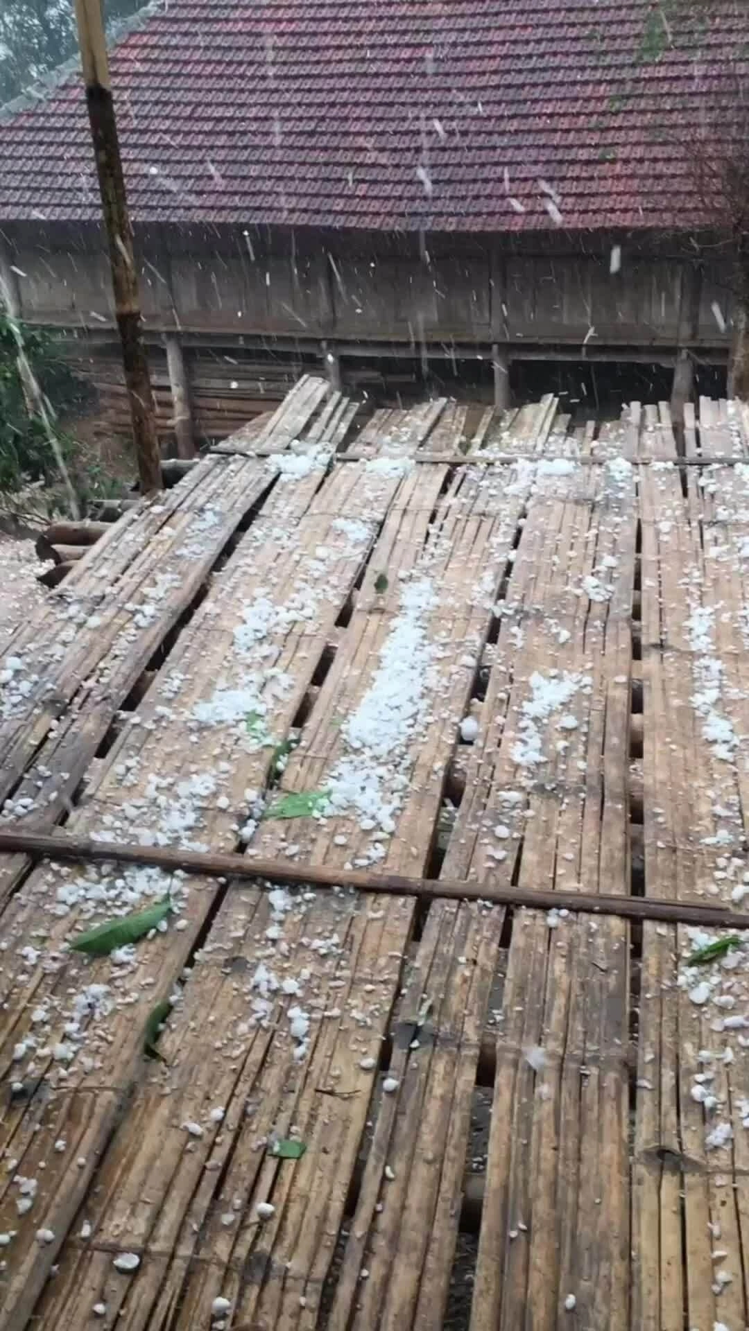 Video thay tin mưa đá trắng đồi núi