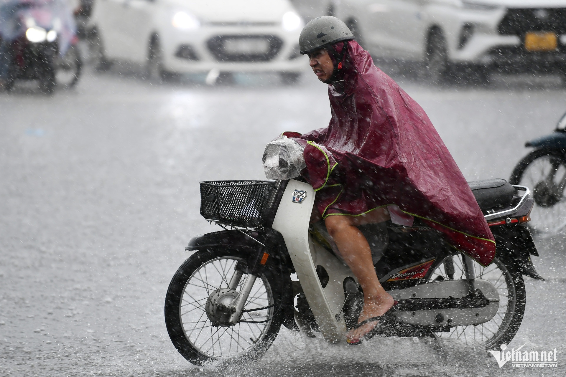 W-mua to hoang minh 9.jpg