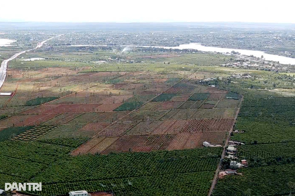 Cò phân lô, rao bán cả đất nhà nước quản lý - 1