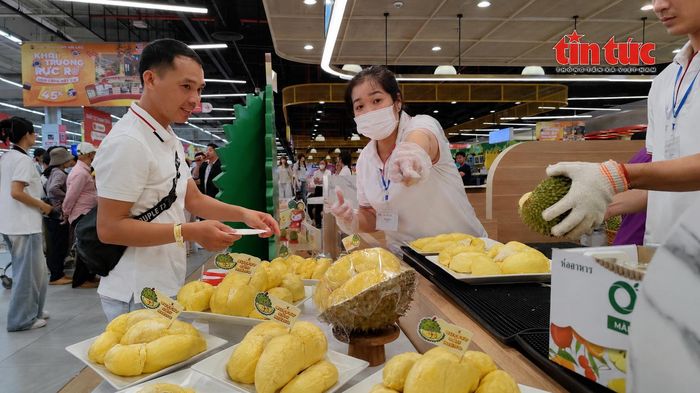 Buffet sầu riêng thưởng thức không giới hạn hút khách tại TP Hồ Chí Minh