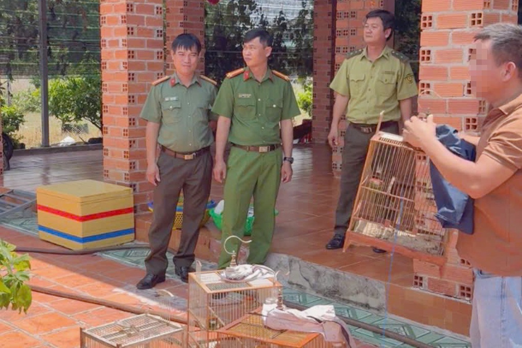 Công an vận động hộ dân ở Tây Ninh thả 50 con chim chào mào về tự nhiên - 1