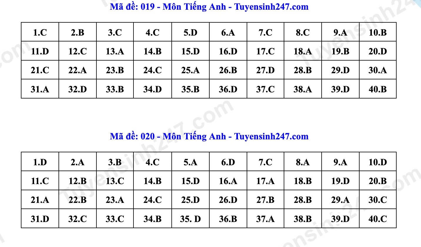 10-ta.jpg