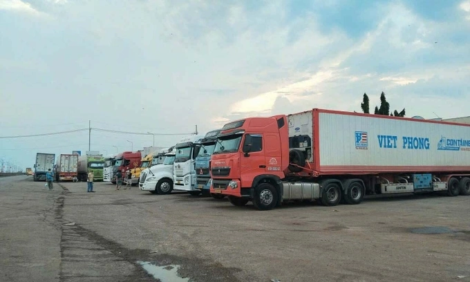 Nhiều container chở sầu riêng đậu chờ xét nghiệm ở khu vực Bến xe Dầu Giây. Ảnh: Thái Hà