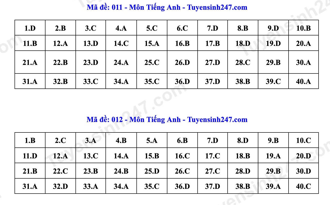 6-ta.jpg