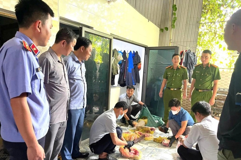 Khởi tố người chuyên thu mua lợn nhiễm bệnh để bán kiếm lời - 1