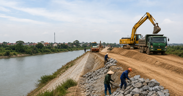Hà Nội: Liên danh 4 nhà thầu trúng gói cải tạo đê Hữu Đáy gần 150 tỷ đồng
