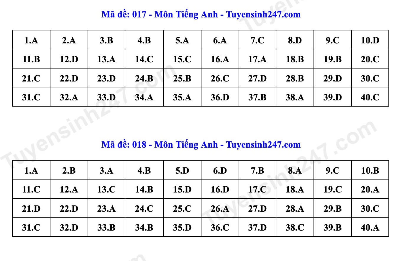 9-ta.jpg
