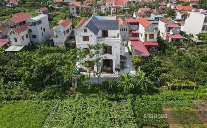 Bộ Nông nghiệp và Môi trường phản hồi việc xây nhà trên đất cây lâu năm trước 2014