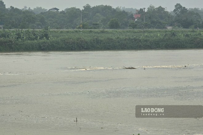 Sông Hồng ở Phú Thọ được "giải khát" sau chuỗi ngày cạn kỷ lục