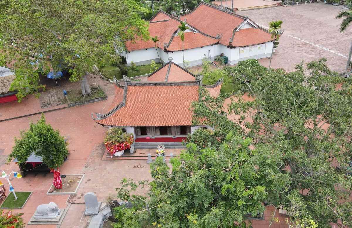 Lễ hội miếu vua Bà cùng diễn ra vào ngày 8/3 âm lịch với lễ hội đền Trần Hưng Đạo. Hàng năm, nơi đây vẫn thu hút rất nhiều khách thập phương về chiêm bái, nghe kể chuyện bà bán hàng nước giúp Trần Hưng Đạo đánh giặc Nguyên Mông. Anh Bùi Xuân Thuỷ (phường Nam Triệu, Hải Phòng) cho biết, mỗi dịp mùng 1 Tết Nguyên đán, anh lại cùng gia đình đến đền Trần Hưng Đạo, miếu Vua Bà, bến đò Rừng cổ để chiêm bái, vãn cảnh.