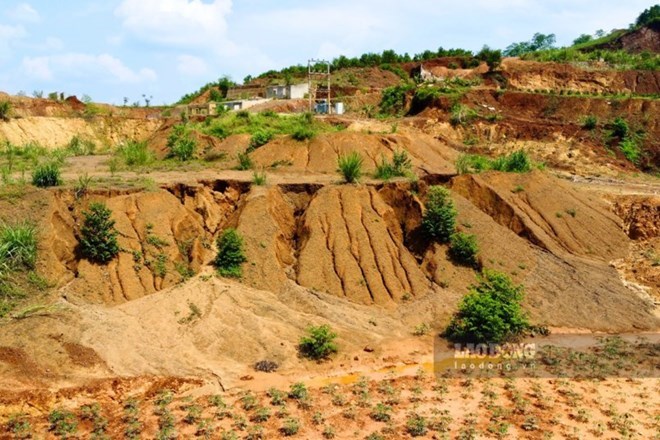 Phú Thọ đấu giá gần 7 tấn khoáng sản chứa vàng là tang vật tịch thu