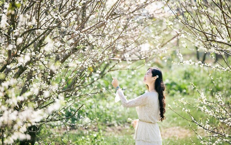 Mộc Châu giảm còn 14 độ C, toàn tỉnh Sơn La đối mặt đợt mưa dông mới