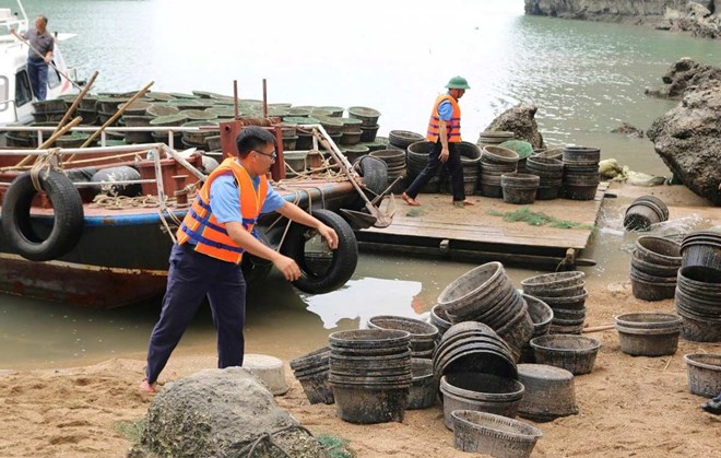 Thu gom khoảng 7.000 lồng sau nuôi thủy sản trái phép trên Vịnh Hạ Long