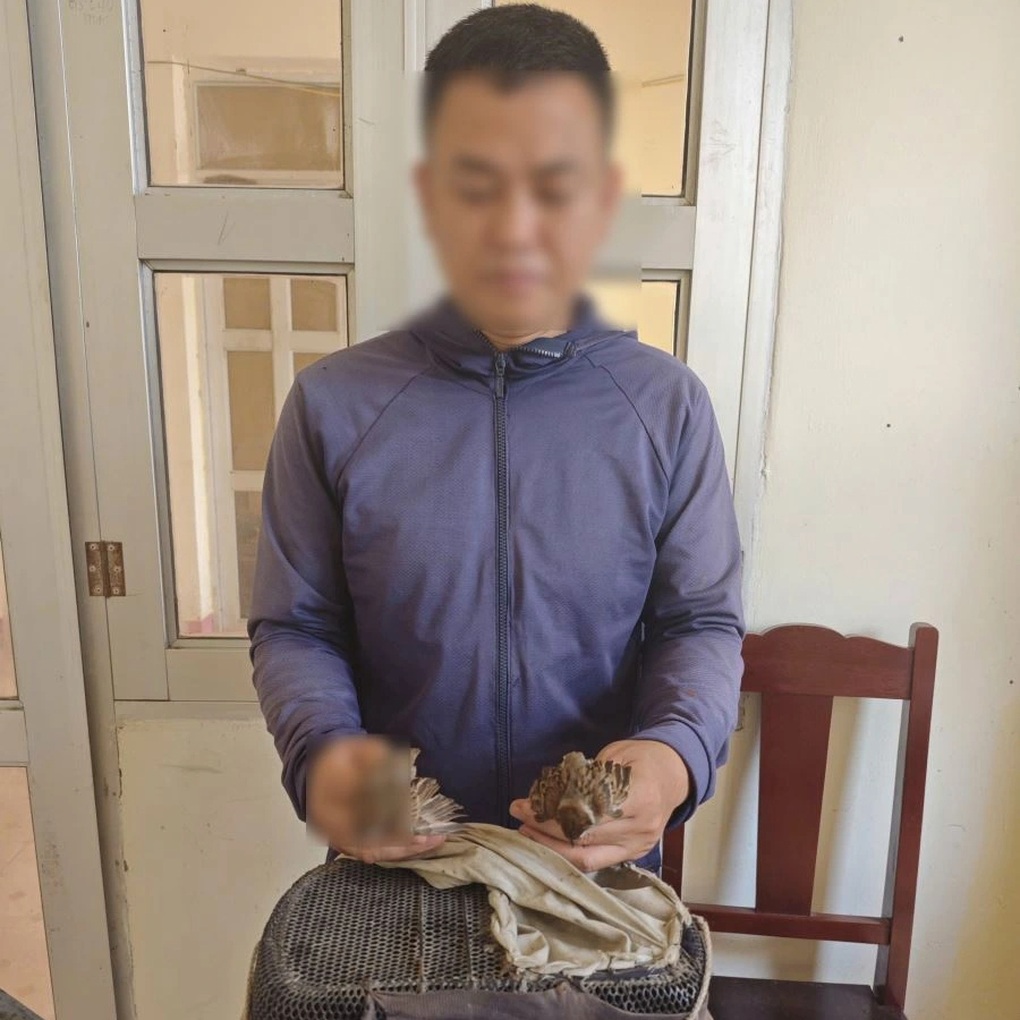 Xử lý người đàn ông dùng bẫy keo săn bắt 58 chim hoang dã - 1