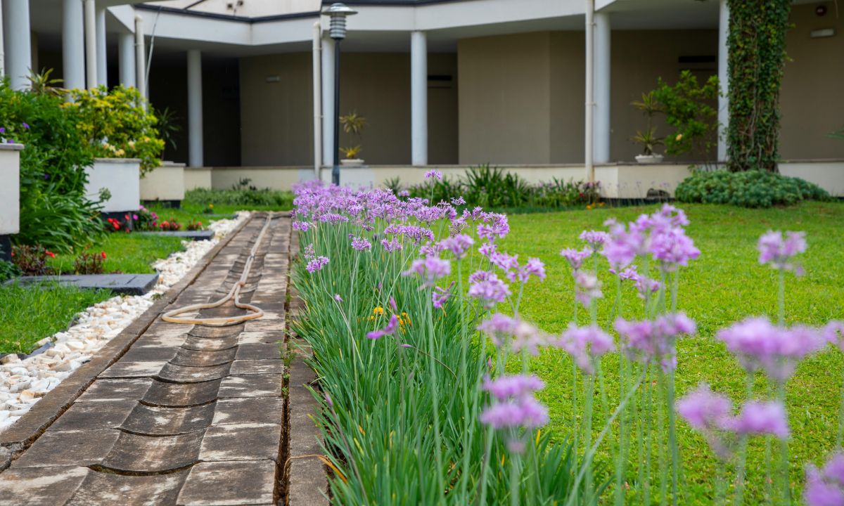 Chuyển đất vườn sang đất ở chỉ phải nộp 30% chênh lệch tiền sử dụng đất trong hạn mức