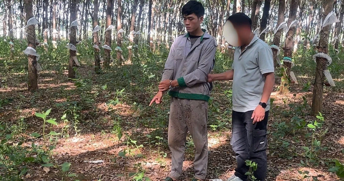 35 giờ phá án bắt đối tượng trộm két sắt, thu giữ hàng trăm triệu đồng