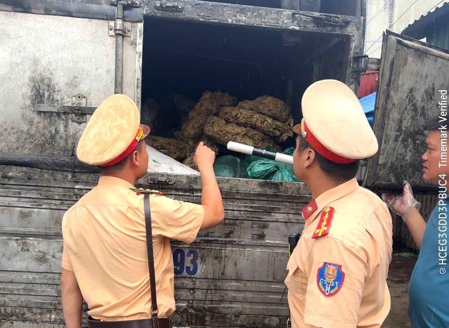 Tài xế ô tô mua hơn 2 tấn tóp mỡ bốc mùi mang đi tiêu thụ- Ảnh 1. Tài xế ô tô mua hơn 2 tấn tóp mỡ bốc mùi mang đi tiêu thụ- Ảnh 1.