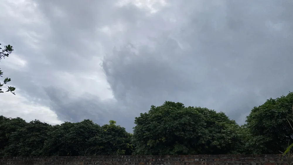 IMG_7654.jpeg