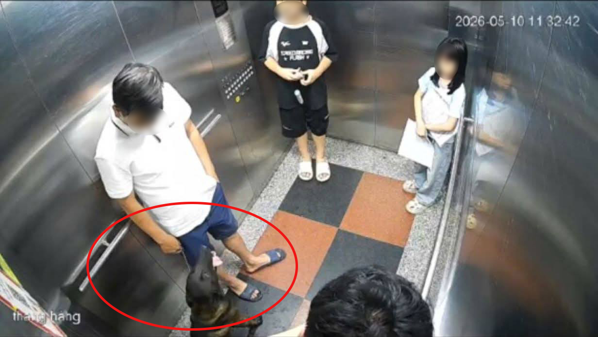 Người đàn ông bị đấm gục khi nhắc cư dân đeo rọ mõm cho chó ở Hà Nội: Ngồi dậy là chóng mặt - Ảnh 4.