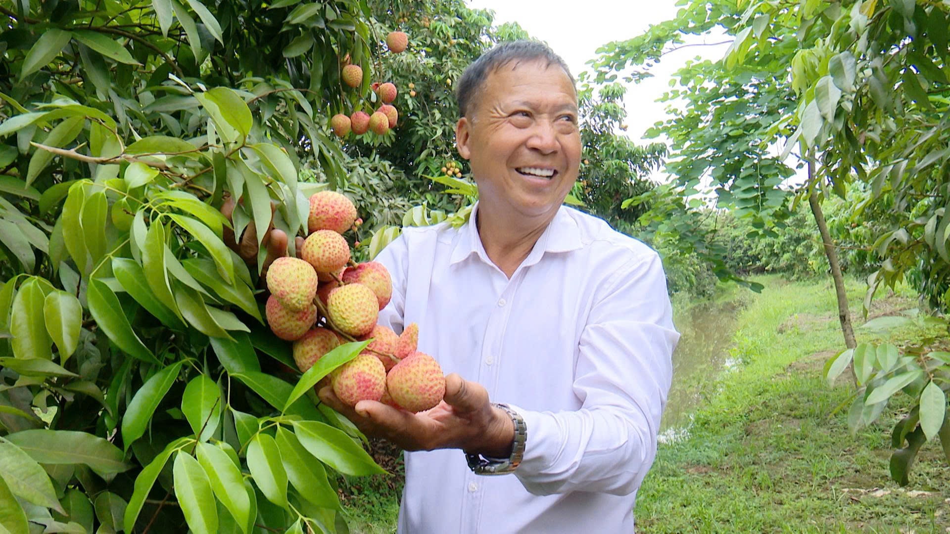 vair-trung-1.jpg
