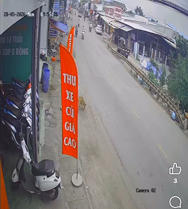 Ấp 5 hiệp phước chạy như nhà có đám giỗ và cái kết🥲