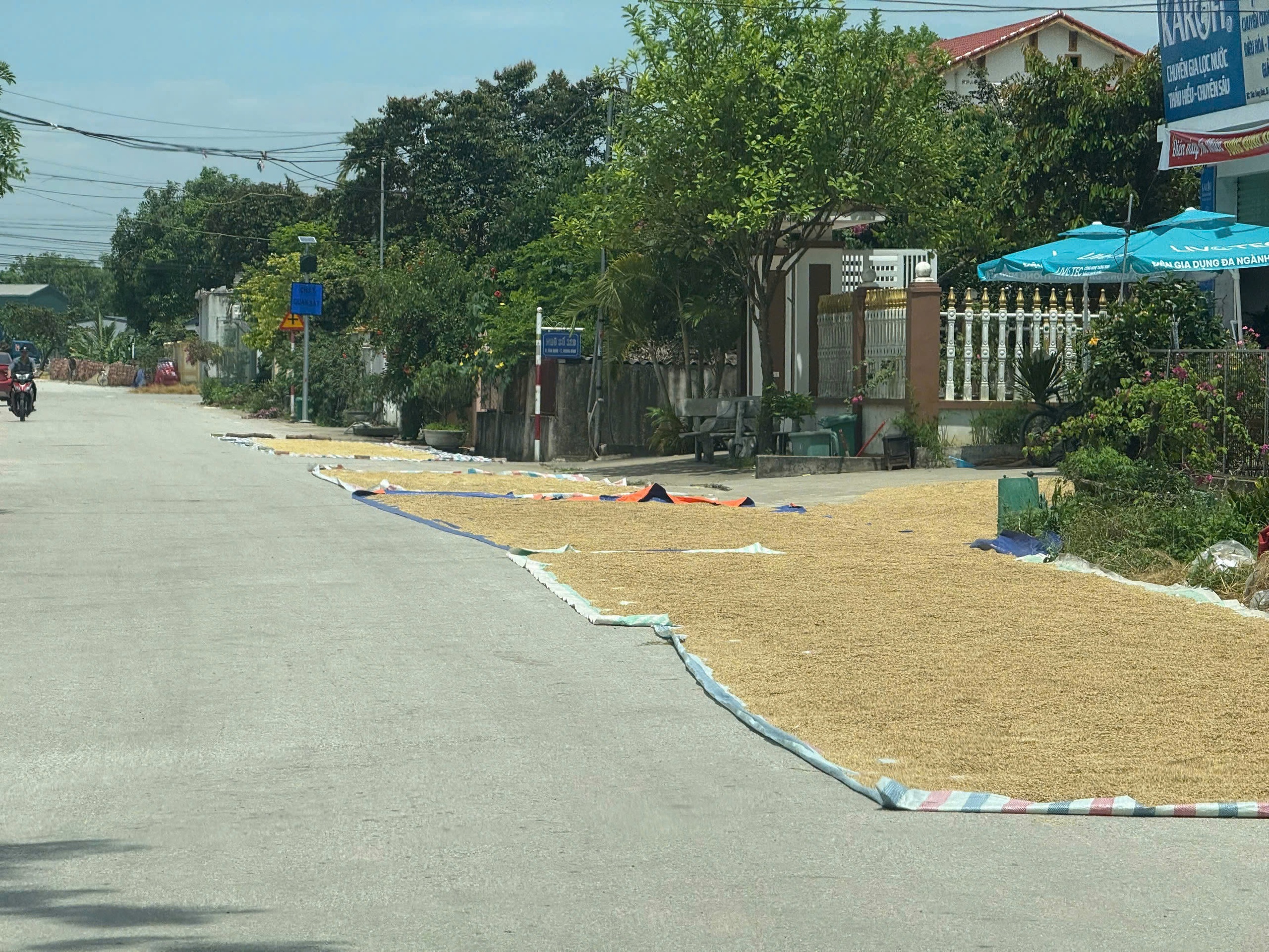 Nhiều địa phương tăng cường xử lý tình trạng phơi lúa, rơm rạ lấn chiếm lòng đường- Ảnh 2.