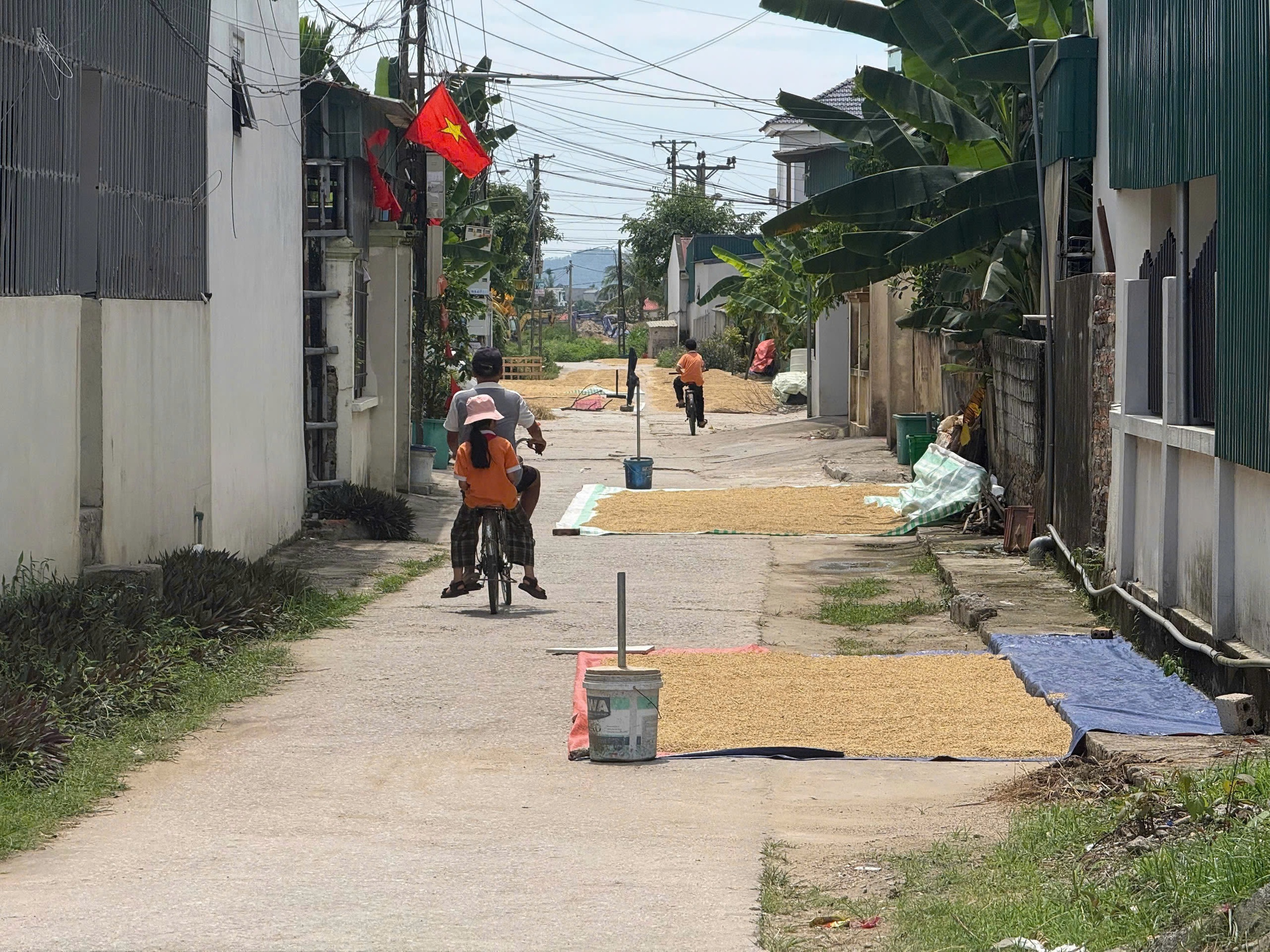 Nhiều địa phương tăng cường xử lý tình trạng phơi lúa, rơm rạ lấn chiếm lòng đường- Ảnh 1.