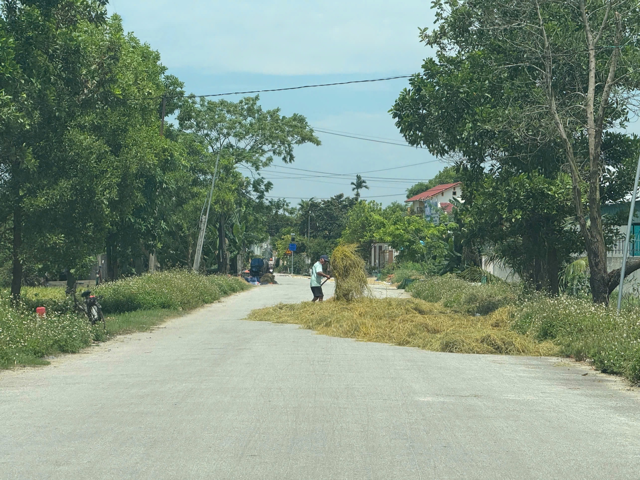 Nhiều địa phương tăng cường xử lý tình trạng phơi lúa, rơm rạ lấn chiếm lòng đường- Ảnh 4.