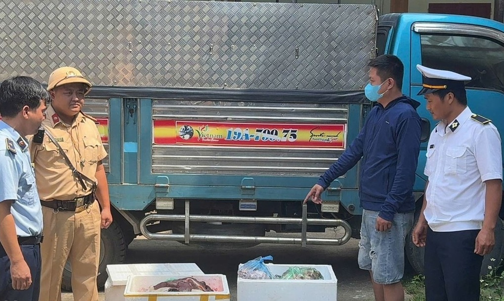 145kg nội tạng lợn rỉ nước hôi thối được vận chuyển từ Lào Cai về Hà Nội - 1