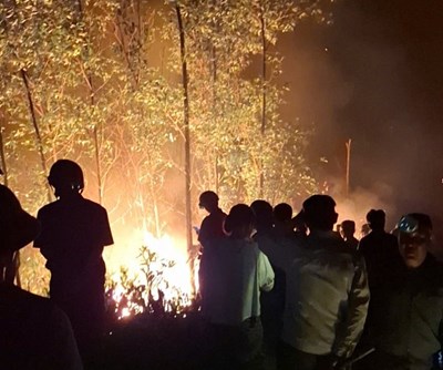 Nghệ An huy động lực lượng chữa cháy rừng trong đêm