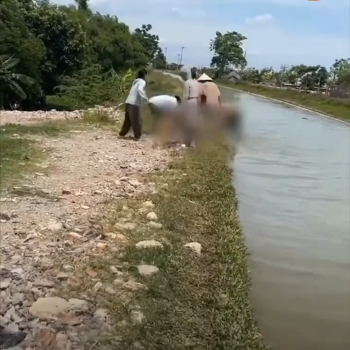 Thương quá Nghệ An ơi