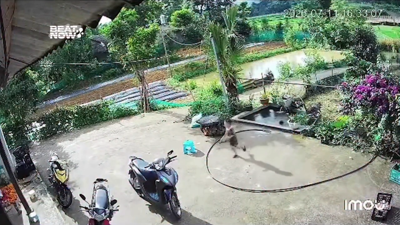 Xem mà thót tim, may đứa anh nhanh trí chạy vào gọi người lớn